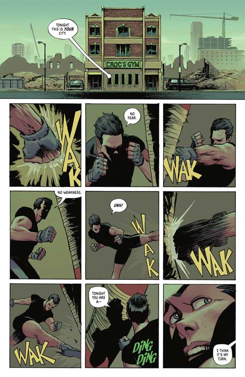 کامیک Absolute Batman Vol.1: the Zoo