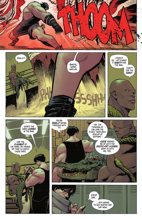 کامیک Absolute Batman Vol.1: the Zoo