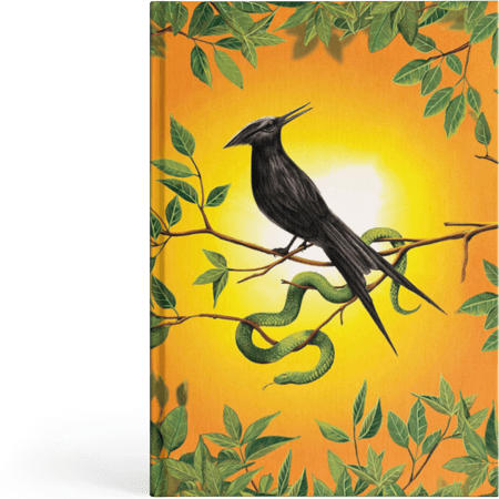 رمان Hunger Games: The Ballad of Songbirds and Snakes